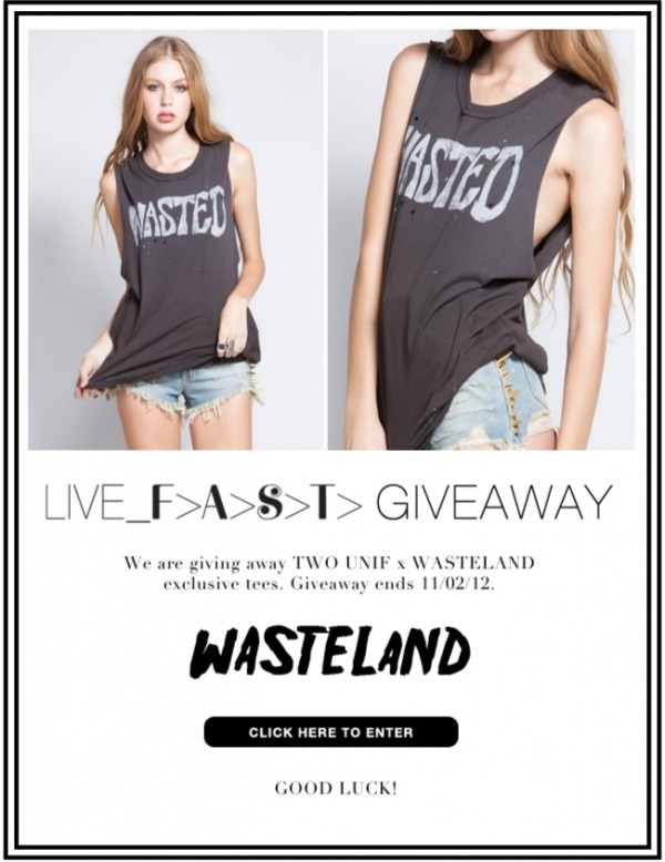 giveaway_wasteland_swakes