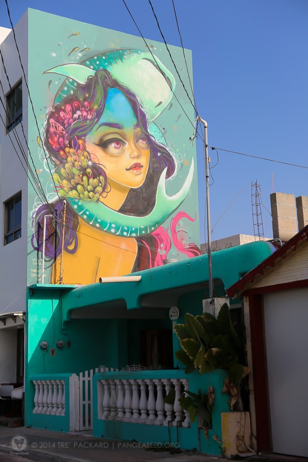 Tatiana Suarez 1 Tatiana Suarez 1