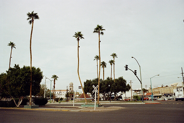 MARGOECHO11