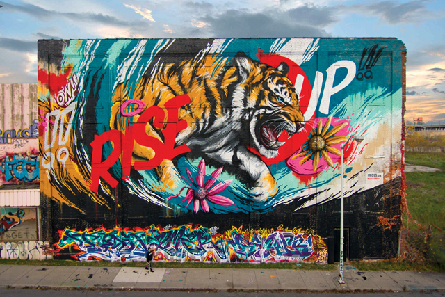Meggs-Rise-Up-300.Sal Rodriguez