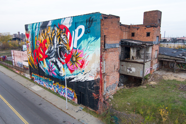 Tiger6.Sal Rodriguezjpg