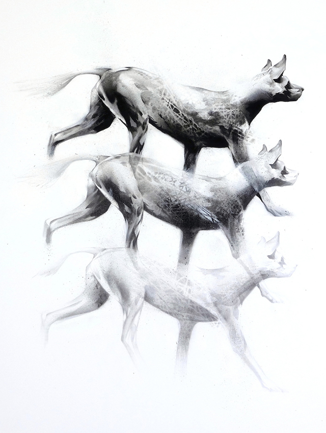 Constellations (wild dog-Lycaon pictus)-1
