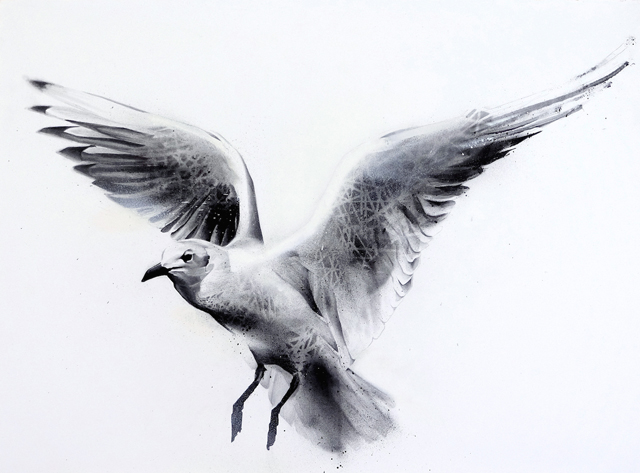 Flight (Gull-Laridae)-1