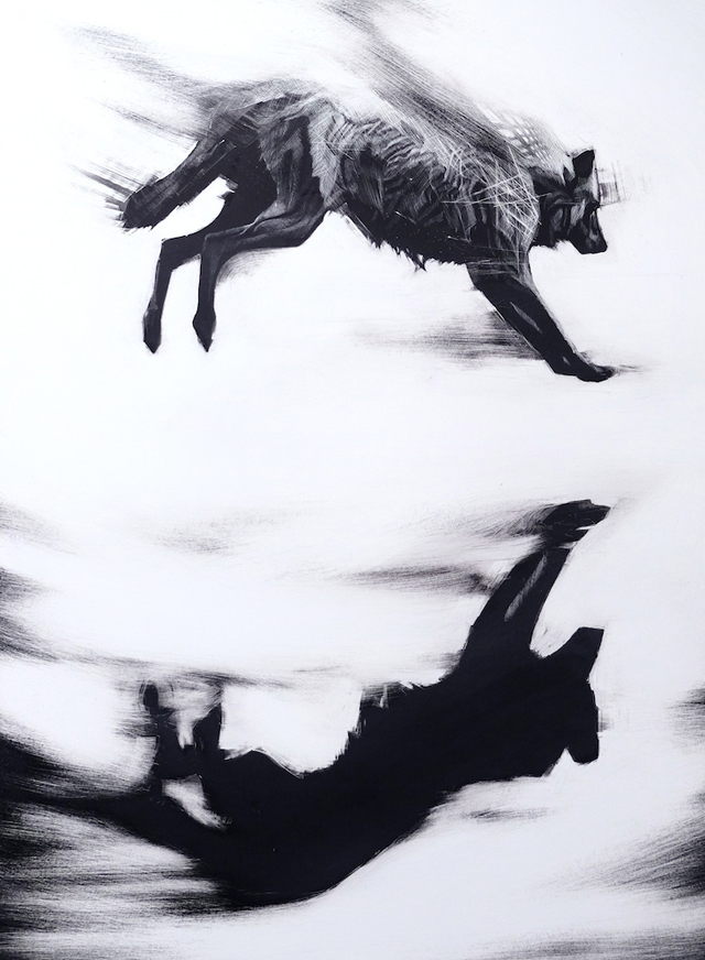 Leap (Arctic Wolf- Canis lupus arctos) -1