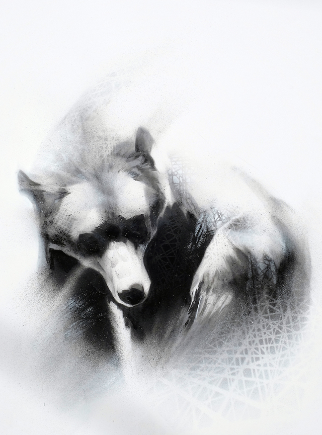 Search (Grizzly Bear- Ursus arctos)-1
