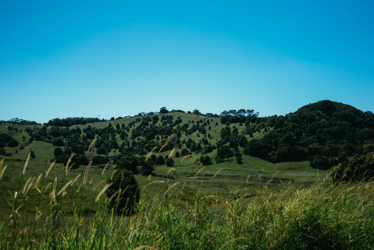 australia web res (431 of 1029) 09125