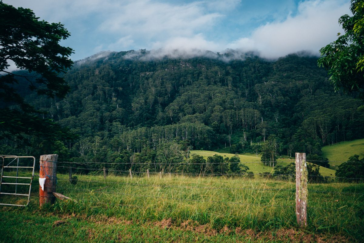 australia web res (723 of 1029) 02151