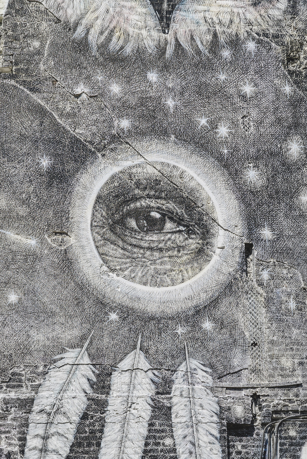 alexisdiazdetail